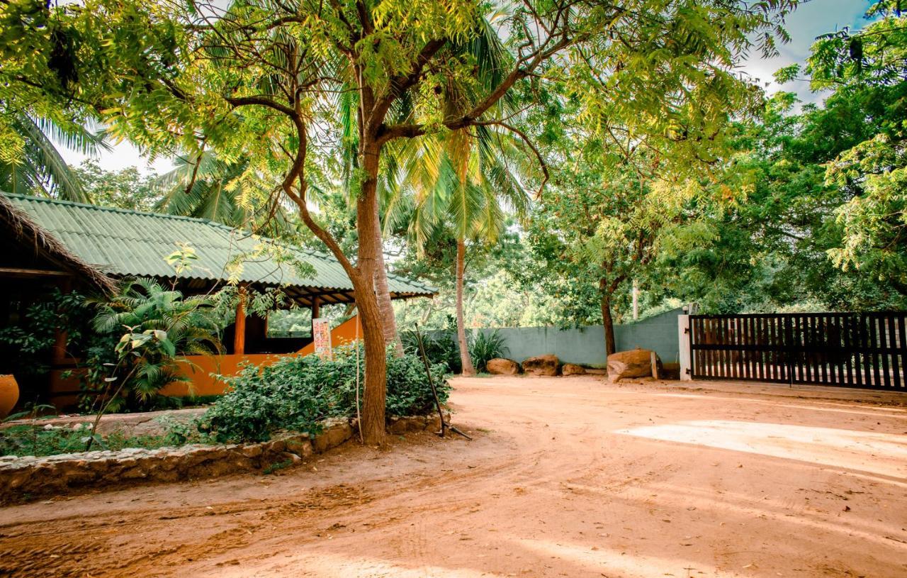 Sarada Beach Resort Yala Тіссамахарама Екстер'єр фото