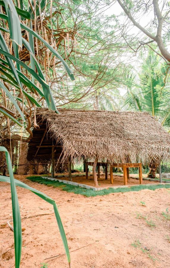 Sarada Beach Resort Yala Тіссамахарама Екстер'єр фото