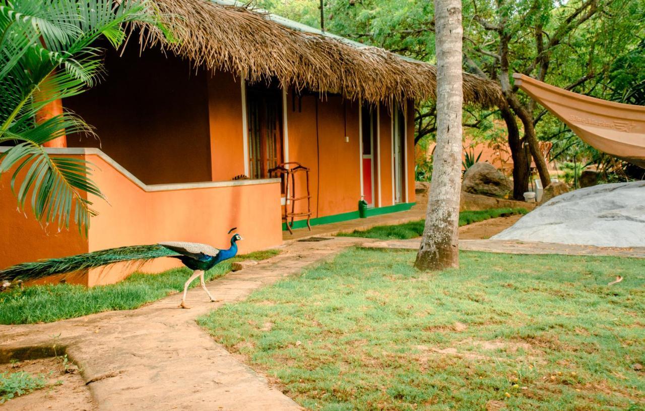 Sarada Beach Resort Yala Тіссамахарама Екстер'єр фото